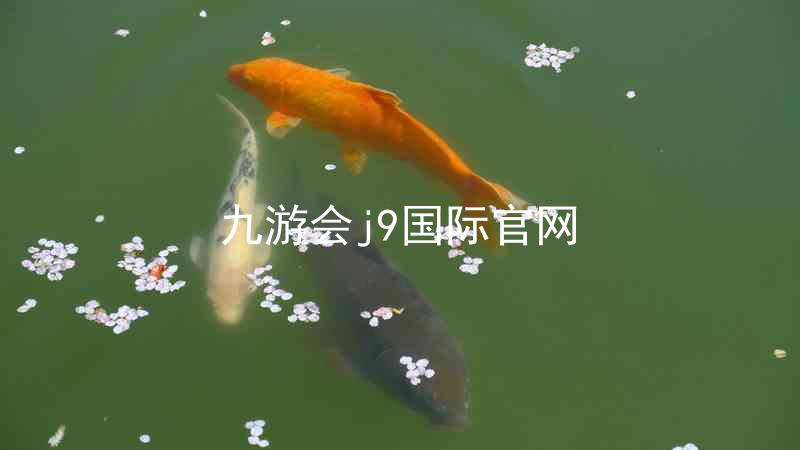 九游会j9国际官网